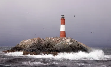 PROMO: Parque Nacional Tierra del Fuego + Traslado In/Out hotel céntrico – Medio Día