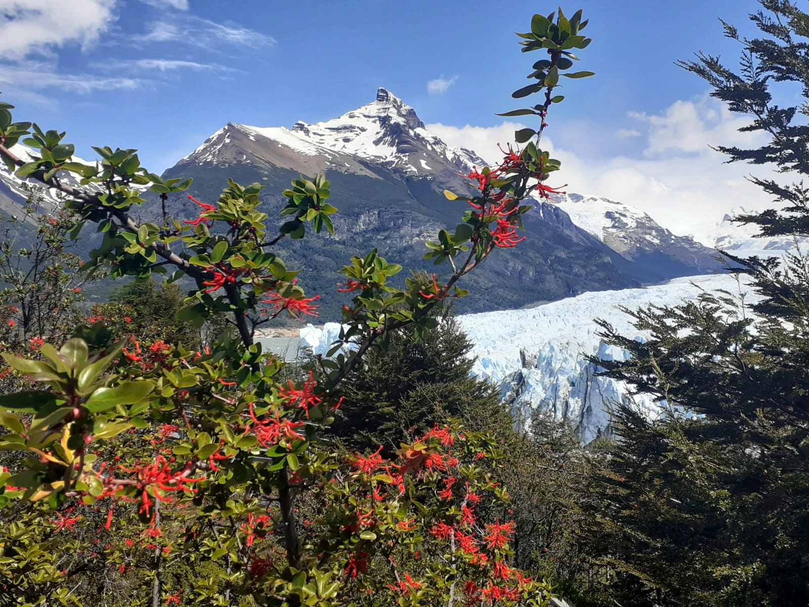 Glacier Getaway Img 1000199543