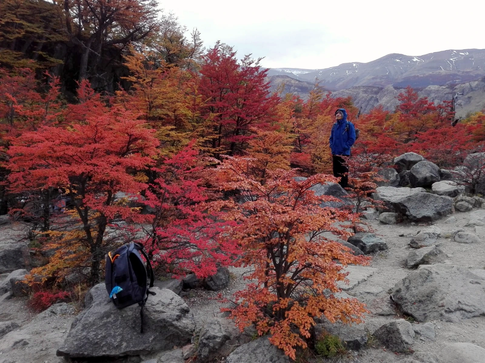 Patagonia Full Experience Img 1000199545